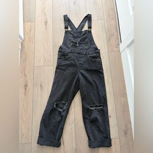 Free people We the free ziggy overall